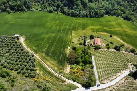 Helårsgrund i Ripatransone, Ascoli Piceno, Ripatransone - € 249.000 | Ref: 33465 - foto 13