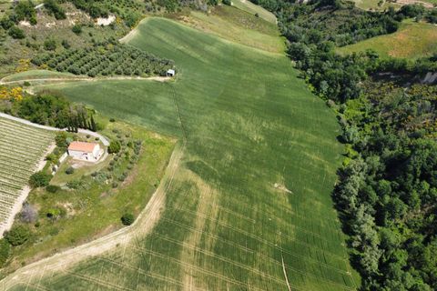 Helårsgrund i Ripatransone, Ascoli Piceno, Ripatransone - € 249.000 | Ref: 33465 - foto 16