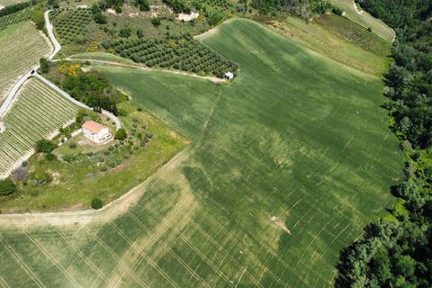 Helårsgrund i Ripatransone, Ascoli Piceno, Ripatransone - € 249.000 | Ref: 33465 - foto 17