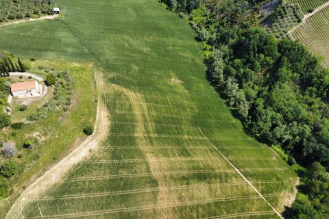 Helårsgrund i Ripatransone, Ascoli Piceno, Ripatransone - € 249.000 | Ref: 33465 - foto 18