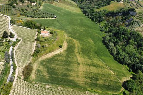 Helårsgrund i Ripatransone, Ascoli Piceno, Ripatransone - € 249.000 | Ref: 33465 - foto 19