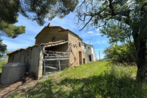 Landejendom i Ripatransone, Ascoli Piceno, Ripatransone - € 50.000 | Ref: 33467 - foto 11
