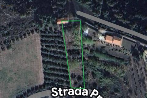 Landejendom i Ripatransone, Ascoli Piceno, Ripatransone - € 50.000 | Ref: 33467 - foto 17