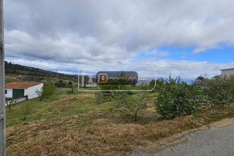 Terra a Armamar, Viseu, Armamar - € 35.000 | Ref: ang.1458 - foto 2