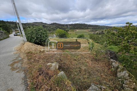 Terra a Armamar, Viseu, Armamar - € 35.000 | Ref: ang.1458 - foto 3