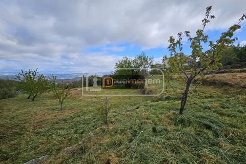 Terra a Armamar, Viseu, Armamar - € 35.000 | Ref: ang.1458 - foto 4