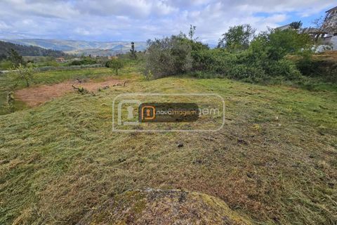 Terra a Armamar, Viseu, Armamar - € 35.000 | Ref: ang.1458 - foto 5