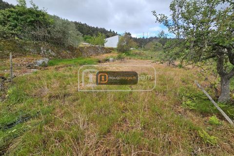 Terra a Armamar, Viseu, Armamar - € 35.000 | Ref: ang.1458 - foto 6