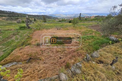 Terra a Armamar, Viseu, Armamar - € 35.000 | Ref: ang.1458 - foto 7