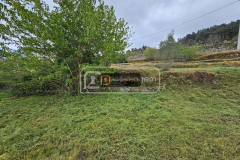 Terra a Armamar, Viseu, Armamar - € 35.000 | Ref: ang.1458 - foto 8
