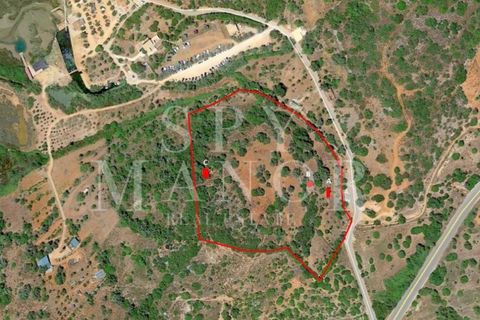 Helårsgrund i Estombar, Faro, Estombar - € 1.000.000 | Ref: Spy-00138 - foto 2