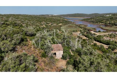 Helårsgrund i Estombar, Faro, Estombar - € 1.000.000 | Ref: Spy-00138 - foto 10