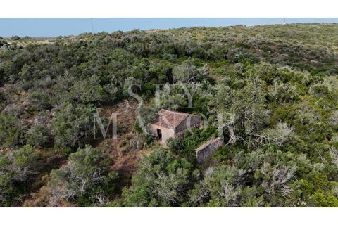 Helårsgrund i Estombar, Faro, Estombar - € 1.000.000 | Ref: Spy-00138 - foto 11