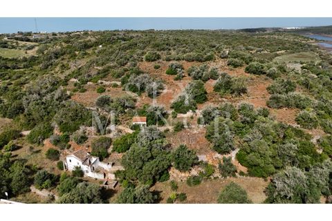 Helårsgrund i Estombar, Faro, Estombar - € 1.000.000 | Ref: Spy-00138 - foto 13