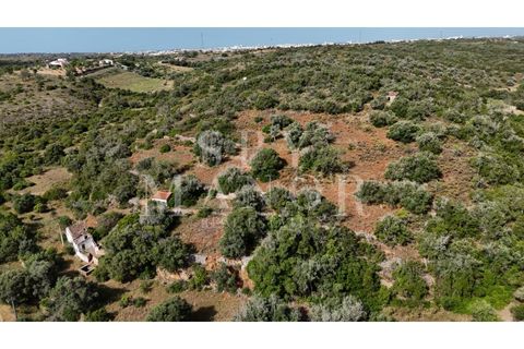 Helårsgrund i Estombar, Faro, Estombar - € 1.000.000 | Ref: Spy-00138 - foto 14