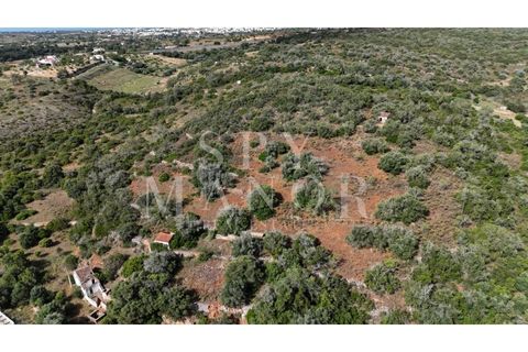 Helårsgrund i Estombar, Faro, Estombar - € 1.000.000 | Ref: Spy-00138 - foto 15
