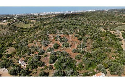 Helårsgrund i Estombar, Faro, Estombar - € 1.000.000 | Ref: Spy-00138 - foto 16