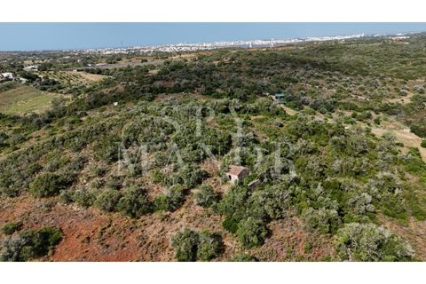 Helårsgrund i Estombar, Faro, Estombar - € 1.000.000 | Ref: Spy-00138 - foto 17