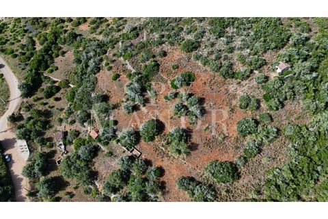 Helårsgrund i Estombar, Faro, Estombar - € 1.000.000 | Ref: Spy-00138 - foto 18