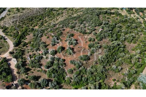 Helårsgrund i Estombar, Faro, Estombar - € 1.000.000 | Ref: Spy-00138 - foto 19