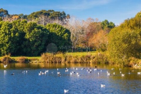 Lejlighed i Matosinhos, Porto, Matosinhos - € 875.000 | Ref: IP-1148AY - foto 17