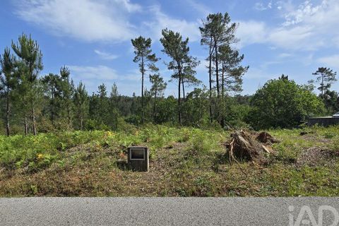 Helårsgrund i Lousa, Coimbra, Lousa - € 33.000 | Ref: 142532 - foto 14