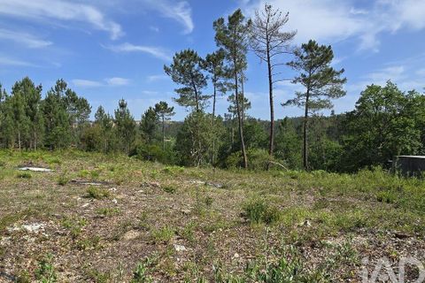 Helårsgrund i Lousa, Coimbra, Lousa - € 33.000 | Ref: 142532 - foto 18