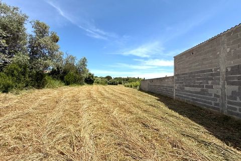 Terra a Vila Verde, Coimbra, Vila Verde - € 40.000 | Ref: ADF_32 - foto 5