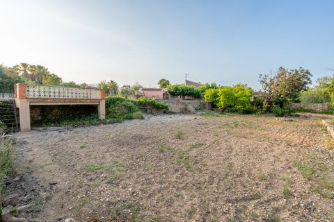 Terra a Els Reguers, Tarragona, Els Reguers - € 43.000 | Ref: 225 - foto 7