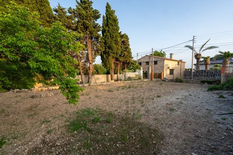 Terra a Els Reguers, Tarragona, Els Reguers - € 43.000 | Ref: 225 - foto 13