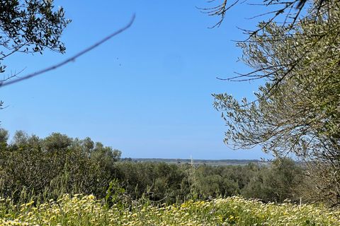 Grond in Campos, Mallorca, Campos - € 235.000 | Ref: PC0045DS - foto 6
