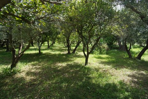 Erhvervsejendom i Orgiva, Granada, Orgiva - € 435.000 | Ref: OC580 - foto 42