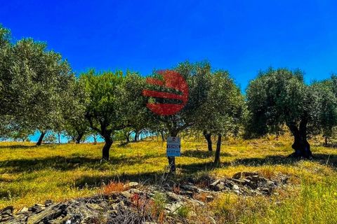 Terra a Meda, Guarda, Meda - € 130.000 | Ref: 500/MDA - foto 2