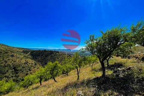 Terra a Meda, Guarda, Meda - € 130.000 | Ref: 500/MDA - foto 6