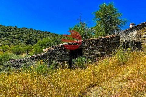 Terra a Meda, Guarda, Meda - € 130.000 | Ref: 500/MDA - foto 7