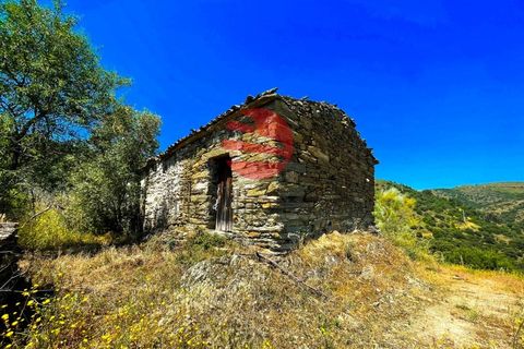 Terra a Meda, Guarda, Meda - € 130.000 | Ref: 500/MDA - foto 8