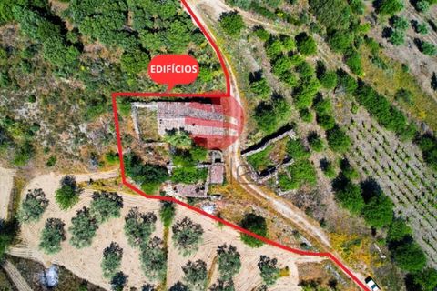 Terra a Meda, Guarda, Meda - € 130.000 | Ref: 500/MDA - foto 9