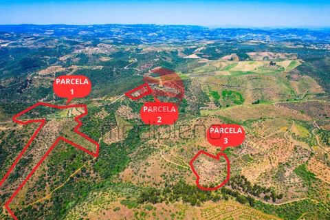 Terra a Meda, Guarda, Meda - € 130.000 | Ref: 500/MDA - foto 10