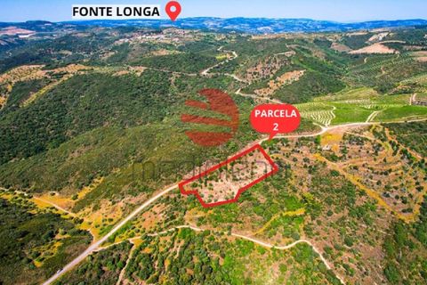Terra a Meda, Guarda, Meda - € 130.000 | Ref: 500/MDA - foto 13
