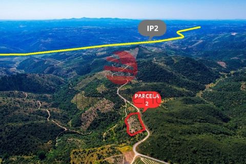 Terra a Meda, Guarda, Meda - € 130.000 | Ref: 500/MDA - foto 14