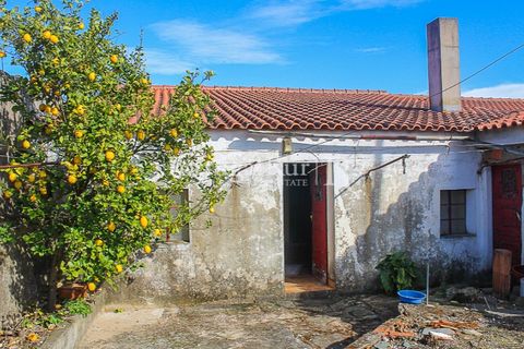 Landejendom i Proenca-a-Nova, Castelo Branco, Proenca-a-Nova - € 68.750 | Ref: SA443 - foto 14