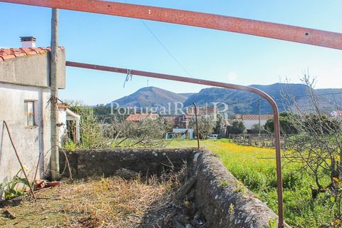 Landejendom i Proenca-a-Nova, Castelo Branco, Proenca-a-Nova - € 68.750 | Ref: SA443 - foto 15