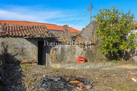 Landejendom i Proenca-a-Nova, Castelo Branco, Proenca-a-Nova - € 68.750 | Ref: SA443 - foto 16