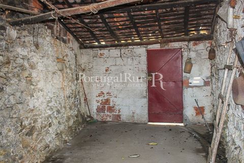 Landejendom i Proenca-a-Nova, Castelo Branco, Proenca-a-Nova - € 68.750 | Ref: SA443 - foto 19