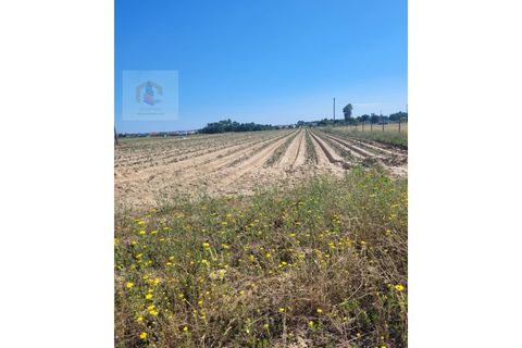 Helårsgrund i Alpiarca, Santarem, Alpiarca - € 52.000 | Ref: VIP_037 - foto 1