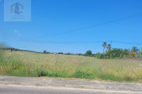 Helårsgrund i Alpiarca, Santarem, Alpiarca - € 52.000 | Ref: VIP_038 - foto 2