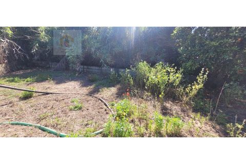 Helårsgrund i Alpiarca, Santarem, Alpiarca - € 58.000 | Ref: VIP_036 - foto 2