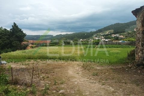 Terra a Roriz, Porto, Roriz - € 50.000 | Ref: MM2406XC20T1 - foto 2
