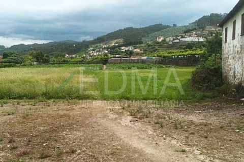 Terra a Roriz, Porto, Roriz - € 50.000 | Ref: MM2406XC20T1 - foto 3