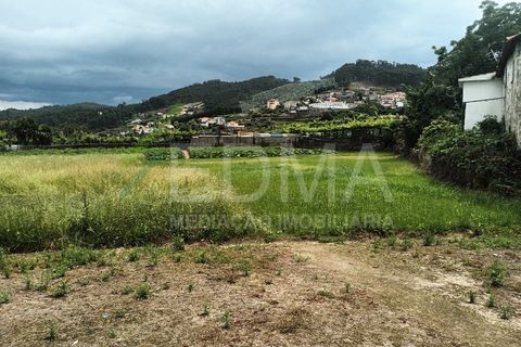 Terra a Roriz, Porto, Roriz - € 50.000 | Ref: MM2406XC20T1 - foto 5